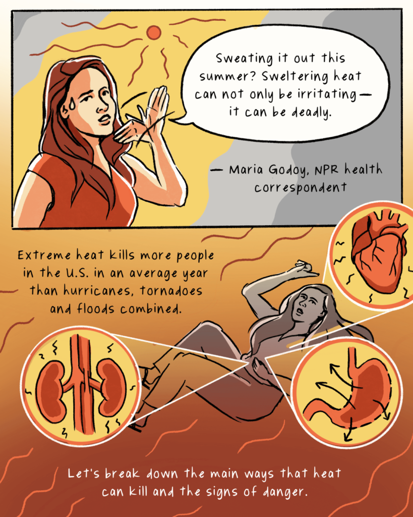 How excessive heat kills and how to stay safe : NPR How excessive heat kills and how to stay safe : NPR